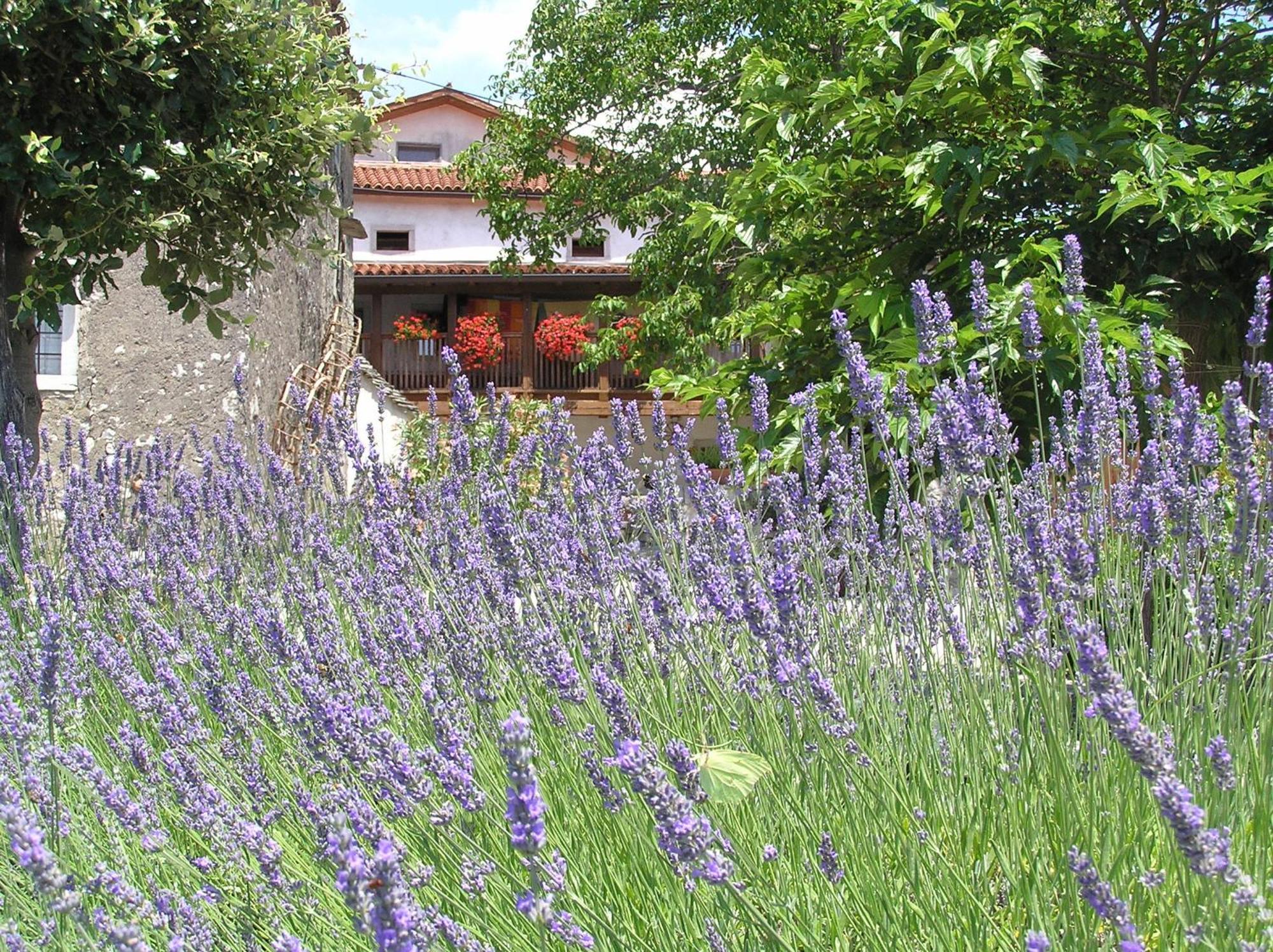Pliskovica Youth Hostel Exterior foto
